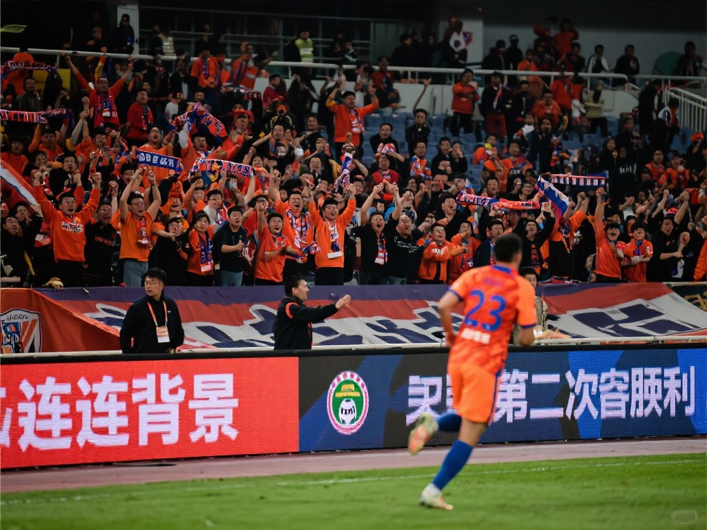 不仅是一场 不仅是一场